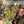 Corprporate events