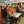 Corprporate events