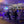 Corprporate events