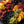 Seasonal Fruit Platters