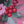 Christmas Party